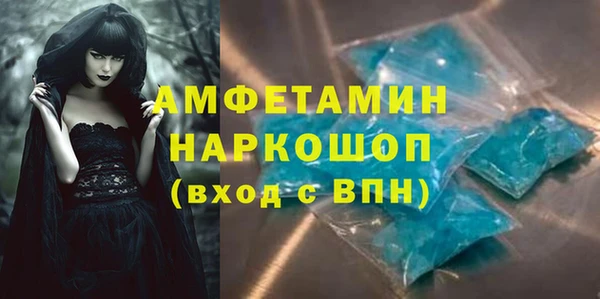 индика Богданович
