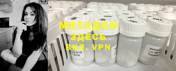 индика Богданович