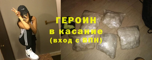 индика Богданович