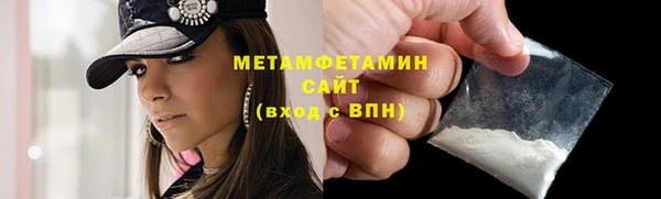 индика Богданович