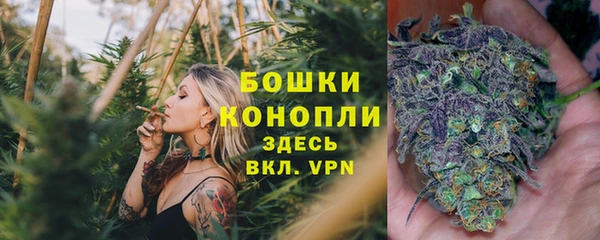 индика Богданович